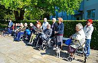 »Ne pozabi me« - mesec september je mesec osveščanja javnosti o Alzheimerjevi bolezni 3